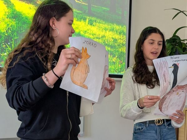 V Pětistovce to vypadalo jako při zmatení jazyků