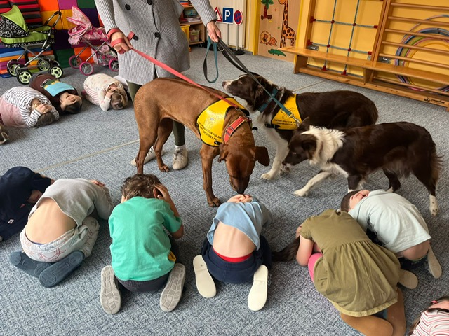 Děti v MŠ Veltruská se učily bezpečí se psy při canisterapii